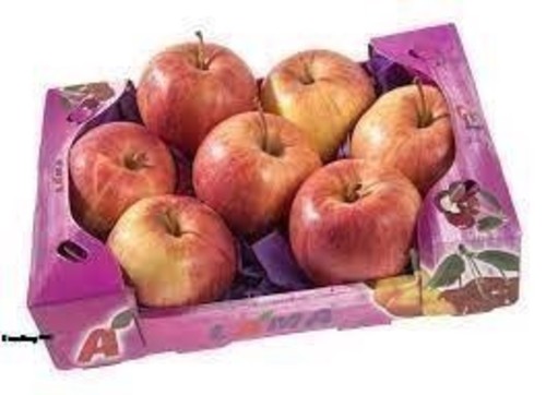 بطاطا شوال