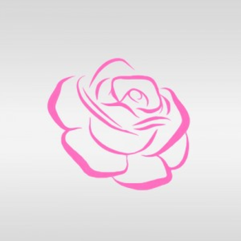 Pink Roses shop CO